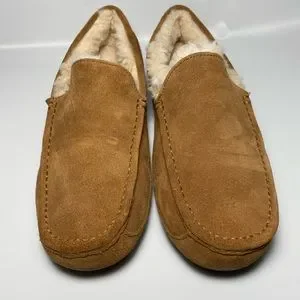 UGG | Shoes | Ugg Australia Ascot 5775 Mens Chesnut Suede  display picture 3